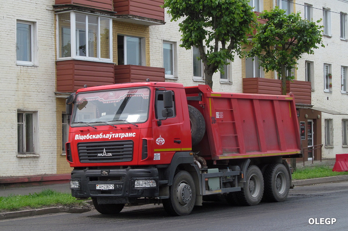 Витебская область, № АН 2367-2 — МАЗ-650128