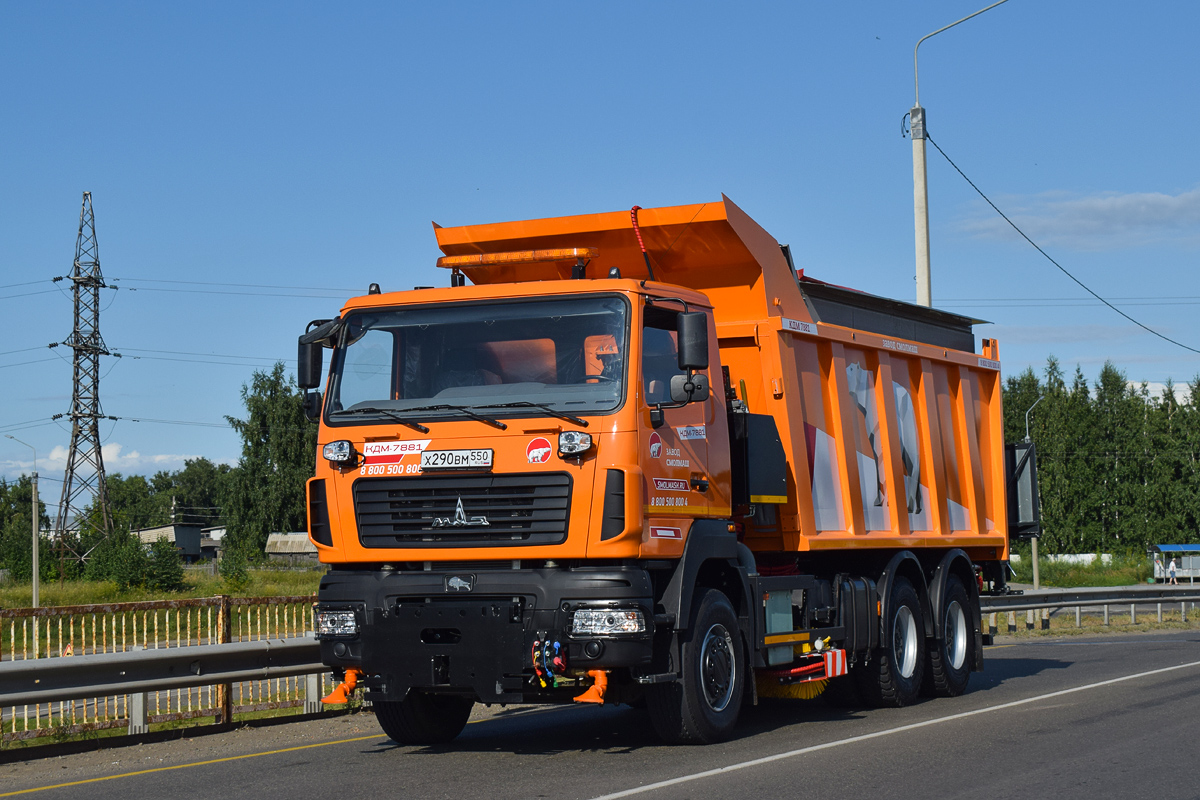 Смоленская область, № Х 290 ВМ 550 — МАЗ-65012J