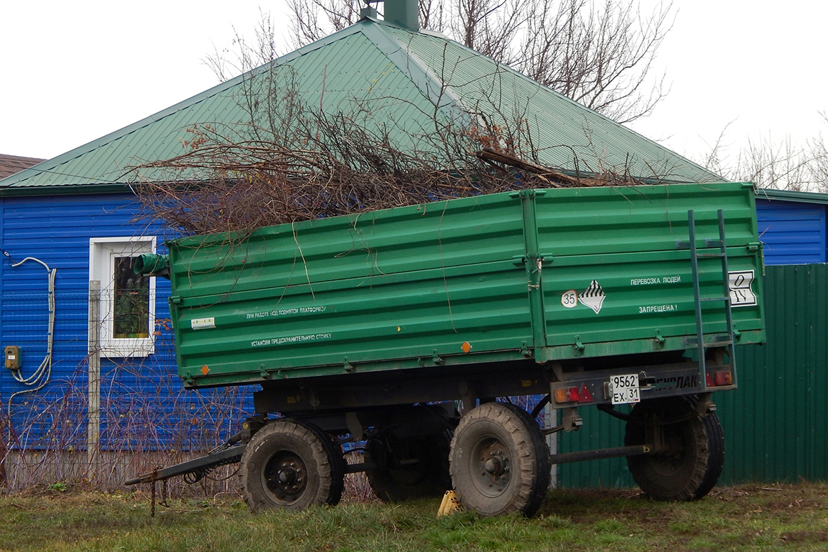 Белгородская область, № 9562 ЕХ 31 — 2ПТС-4 (общая модель)
