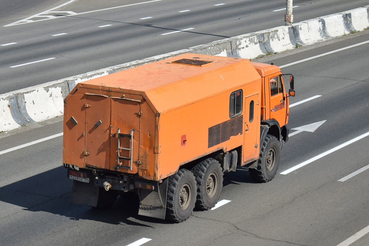 Алтайский край, № Р 238 ТЕ 154 — КамАЗ-43114-15 [43114R]