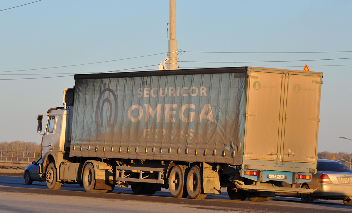 Омская область, № АТ 7392 55 — Grünwald (общая модель)