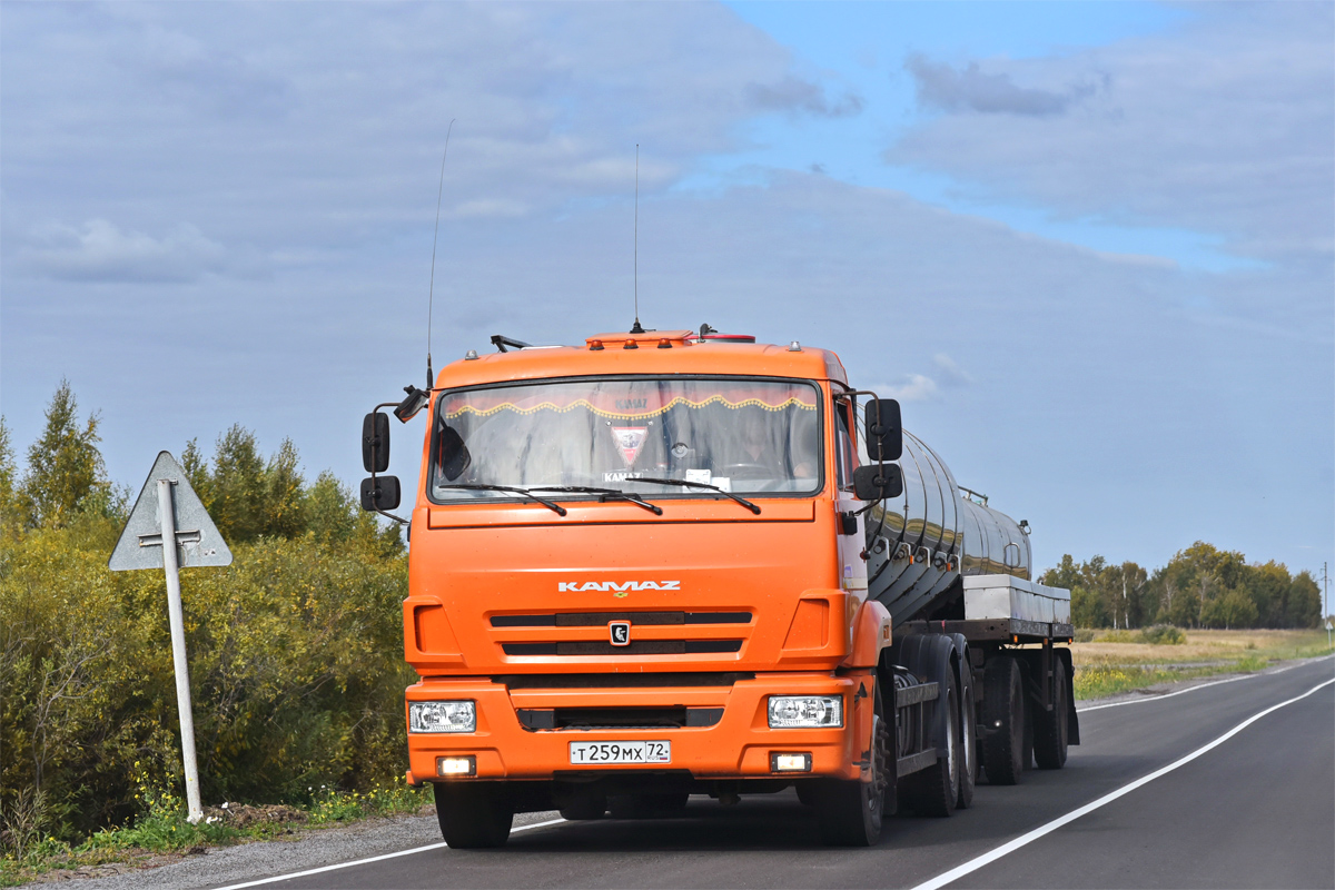 Тюменская область, № Т 259 МХ 72 — КамАЗ-65115-42