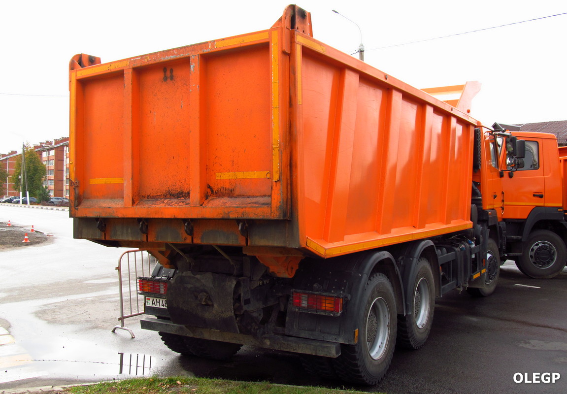 Витебская область, № АН 4670-2 — МАЗ-6501 (общая модель)