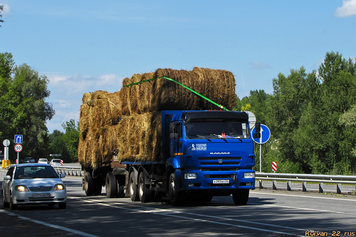 Алтай, № А 397 АТ 04 — КамАЗ-6520-B5(49)