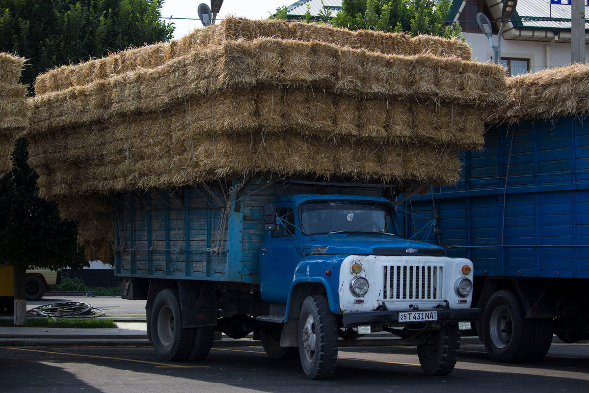 Узбекистан, № 25 T 431 NA — ГАЗ-53-12