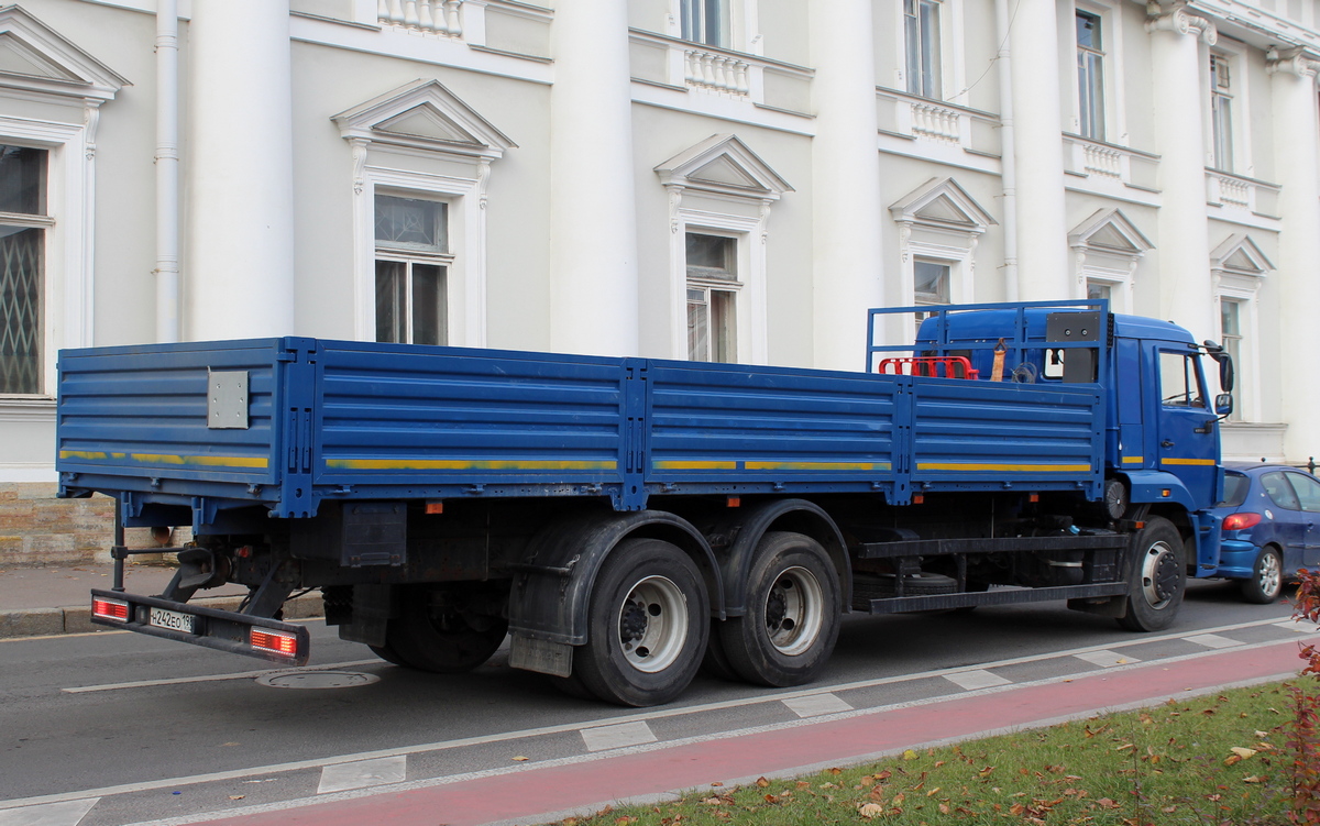 Санкт-Петербург, № Н 242 ЕО 198 — КамАЗ-65117-A5(48)