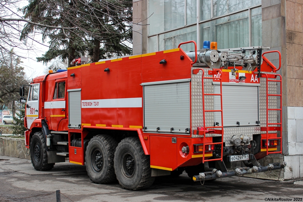 Ростовская область, № В 042 ХУ 161 — КамАЗ-43118-46