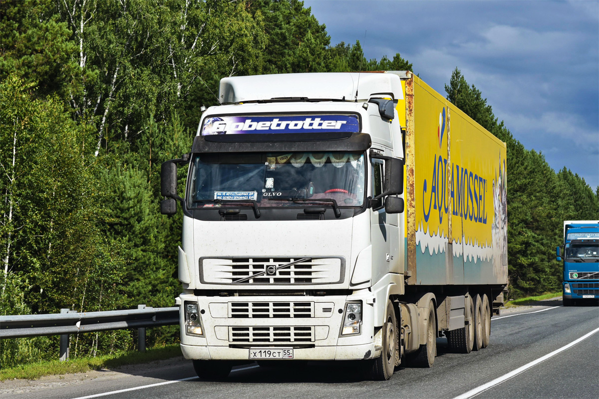 Омская область, № Х 119 СТ 55 — Volvo ('2002) FH12.420