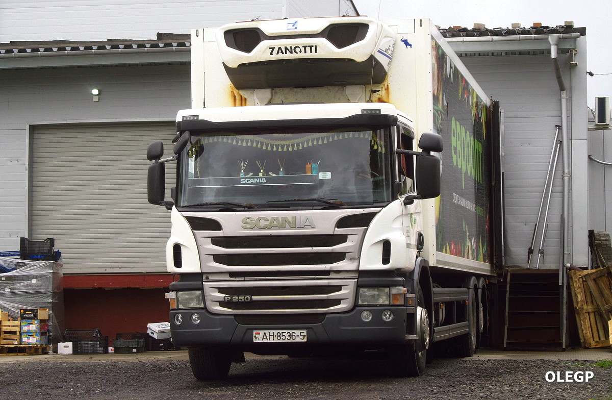 Минская область, № АН 8536-5 — Scania ('2011) P250
