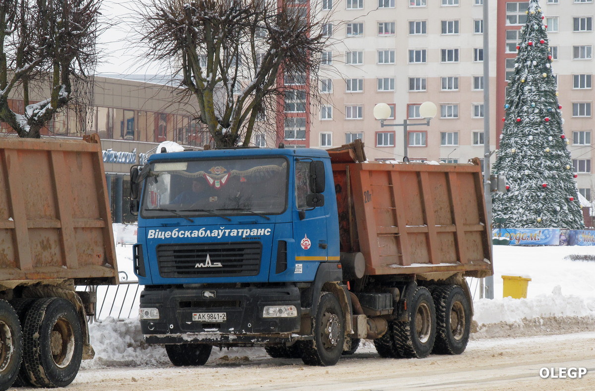 Витебская область, № АК 9841-2 — МАЗ-6501C5