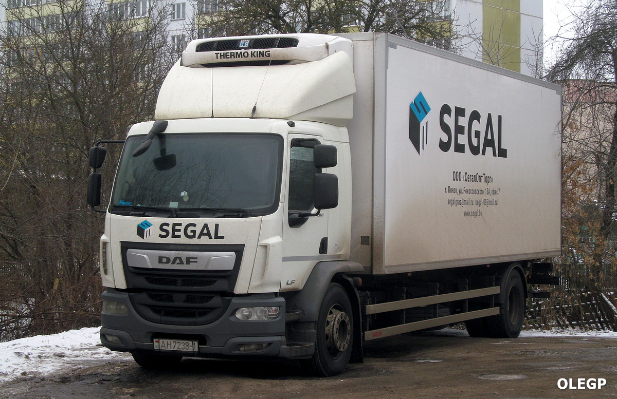 Брестская область, № АН 7238-1 — DAF LF Euro6 FA