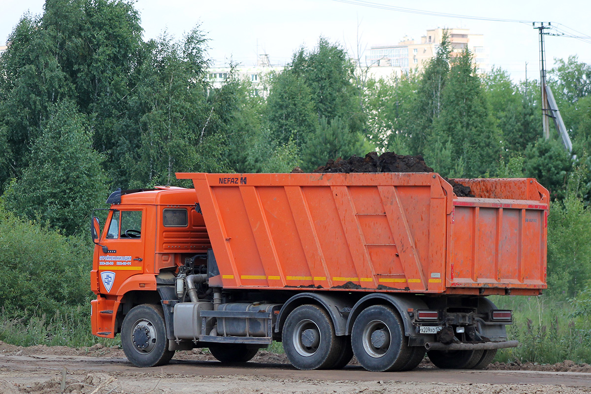 Челябинская область, № Х 209 ХО 174 — КамАЗ-6520-43