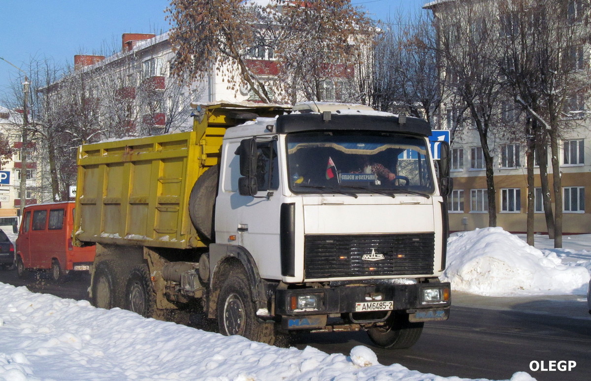 Витебская область, № АМ 6485-2 — МАЗ-5516 (общая модель)