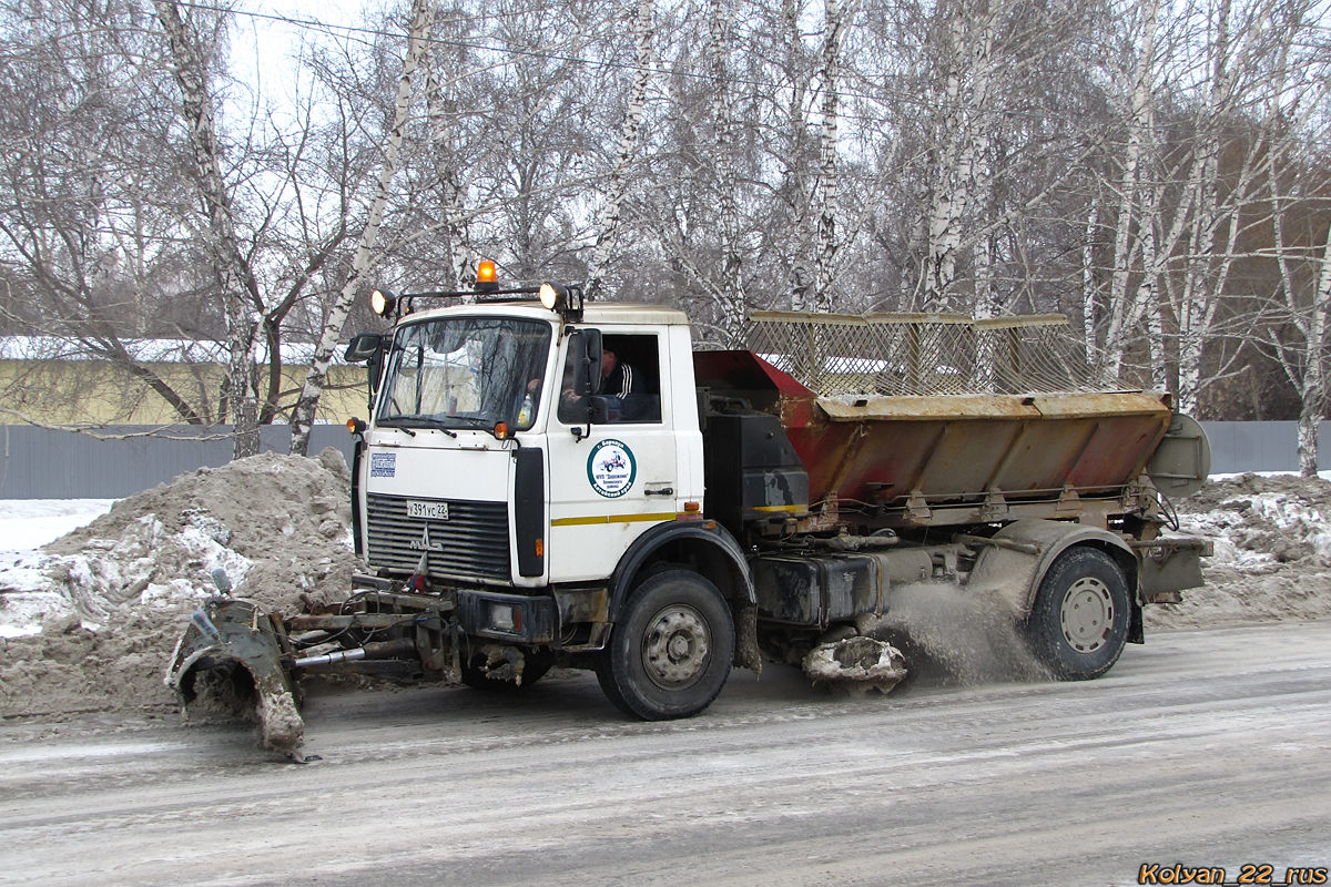 Алтайский край, № У 391 УС 22 — МАЗ-5337A2