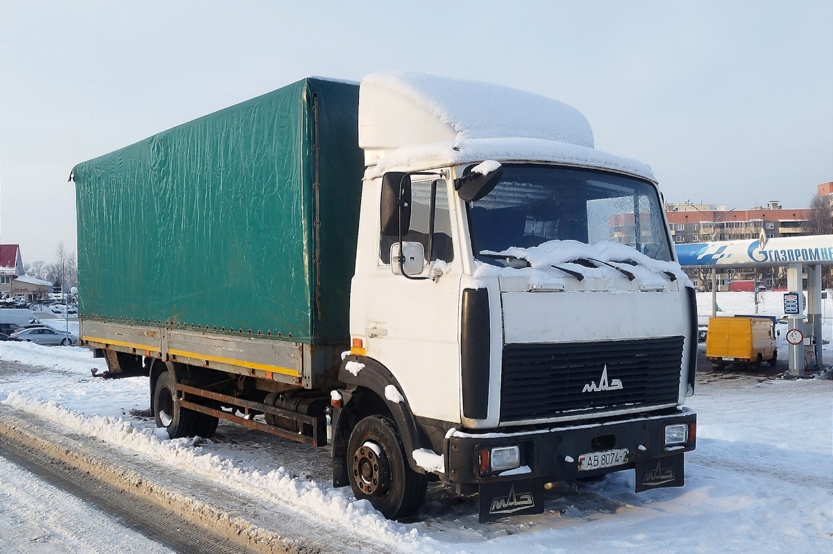 Витебская область, № АВ 8074-2 — МАЗ-4370 (общая модель)