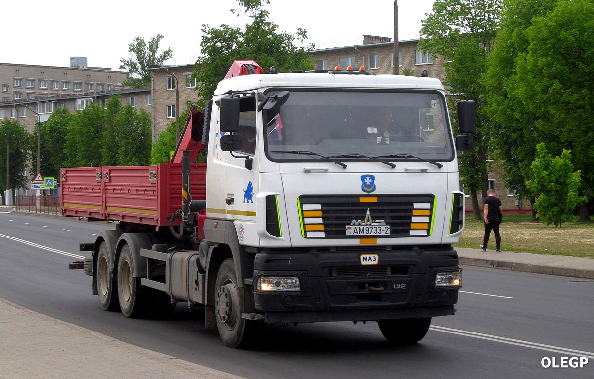 Витебская область, № АМ 9733-2 — МАЗ-631228