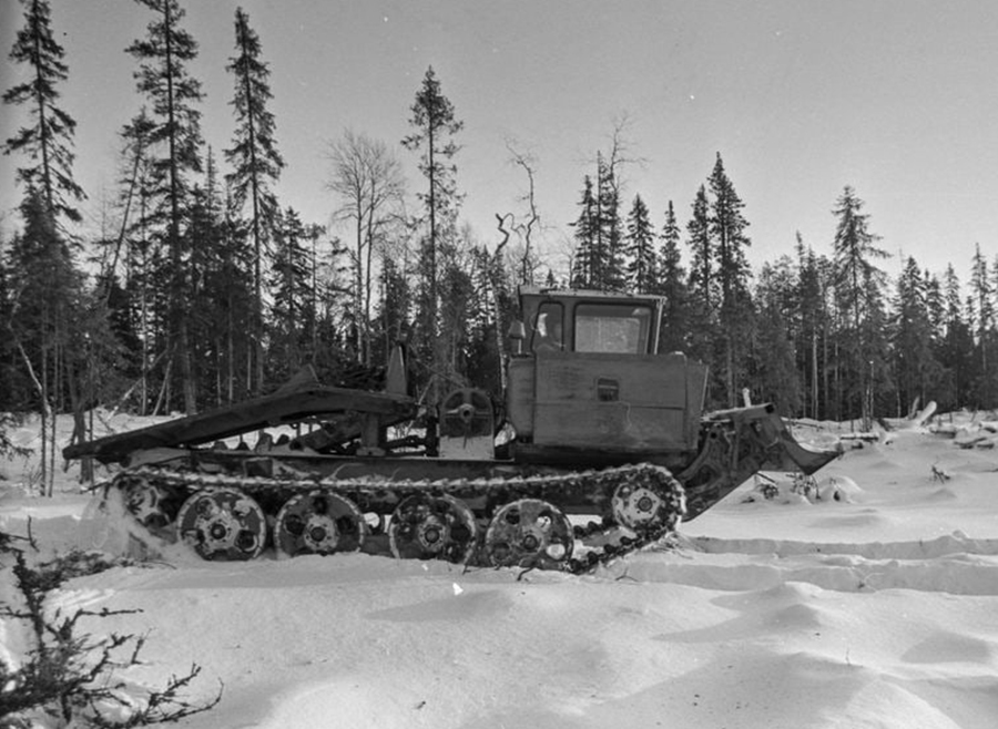 Исторические фотографии (до 2000 года) (Архангельская область)
