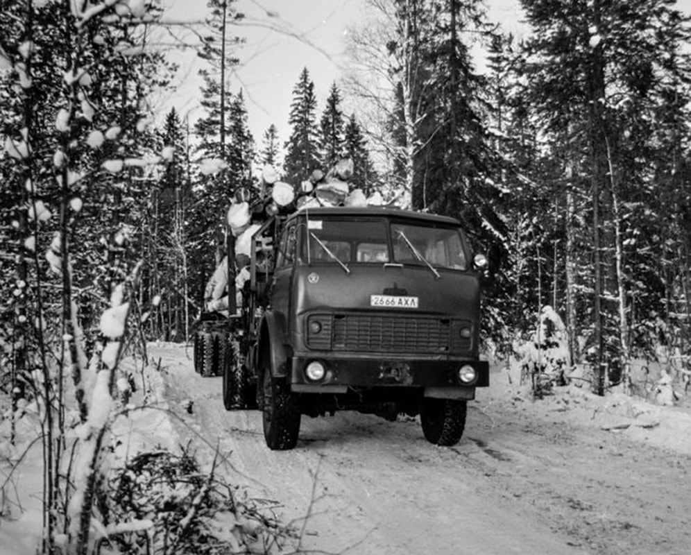 Архангельская область, № 2666 АХЛ — МАЗ-509А; Исторические фотографии (до 2000 года) (Архангельская область)