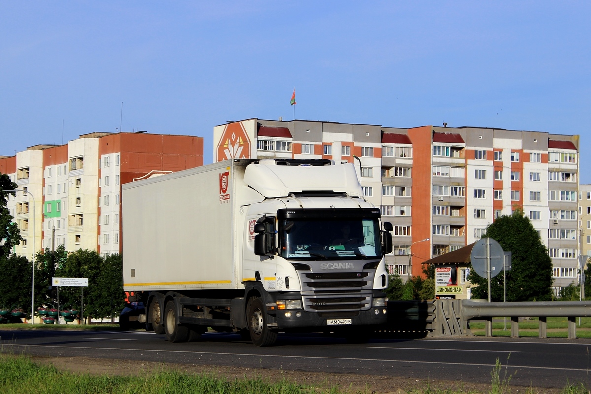 Минская область, № АМ 8443-5 — Scania ('2011) P310