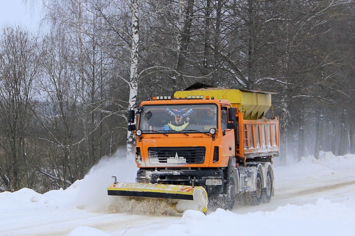 Могилёвская область, № АМ 4109-6 — МАЗ-6501 (общая модель)