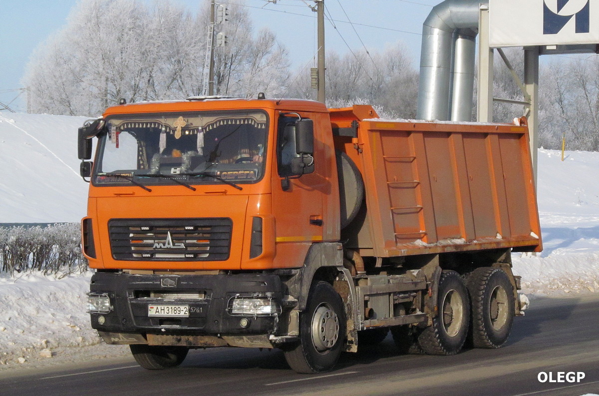 Витебская область, № АН 3189-2 — МАЗ-6501 (общая модель)