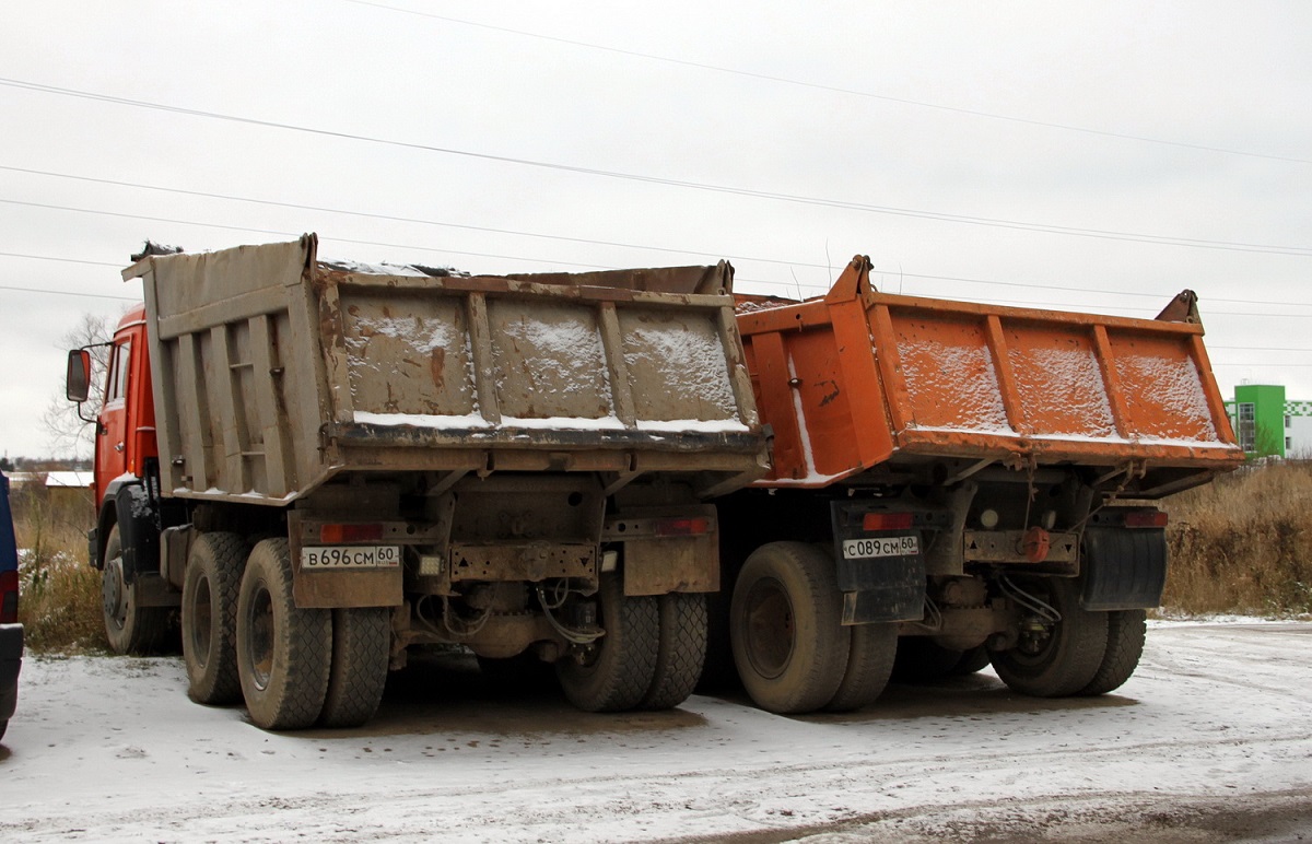 Псковская область, № В 696 СМ 60 — КамАЗ-65115-02 [65115C]