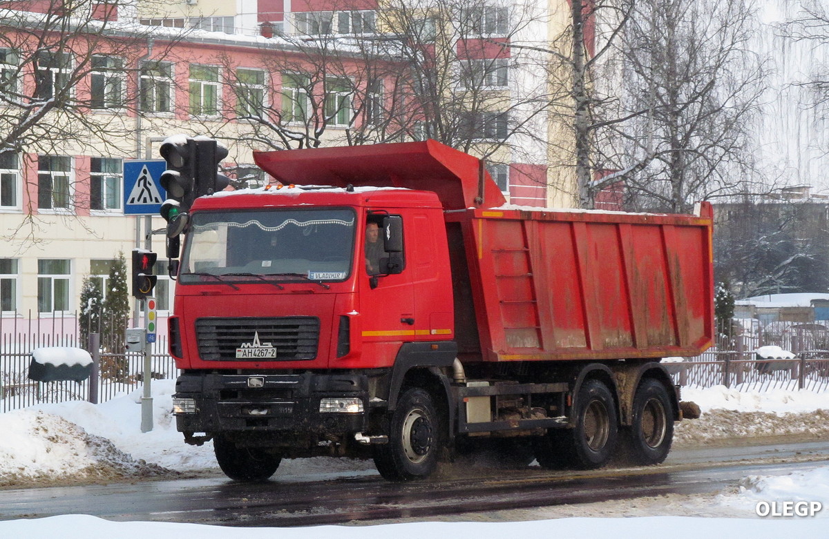 Витебская область, № АН 4267-2 — МАЗ-650128