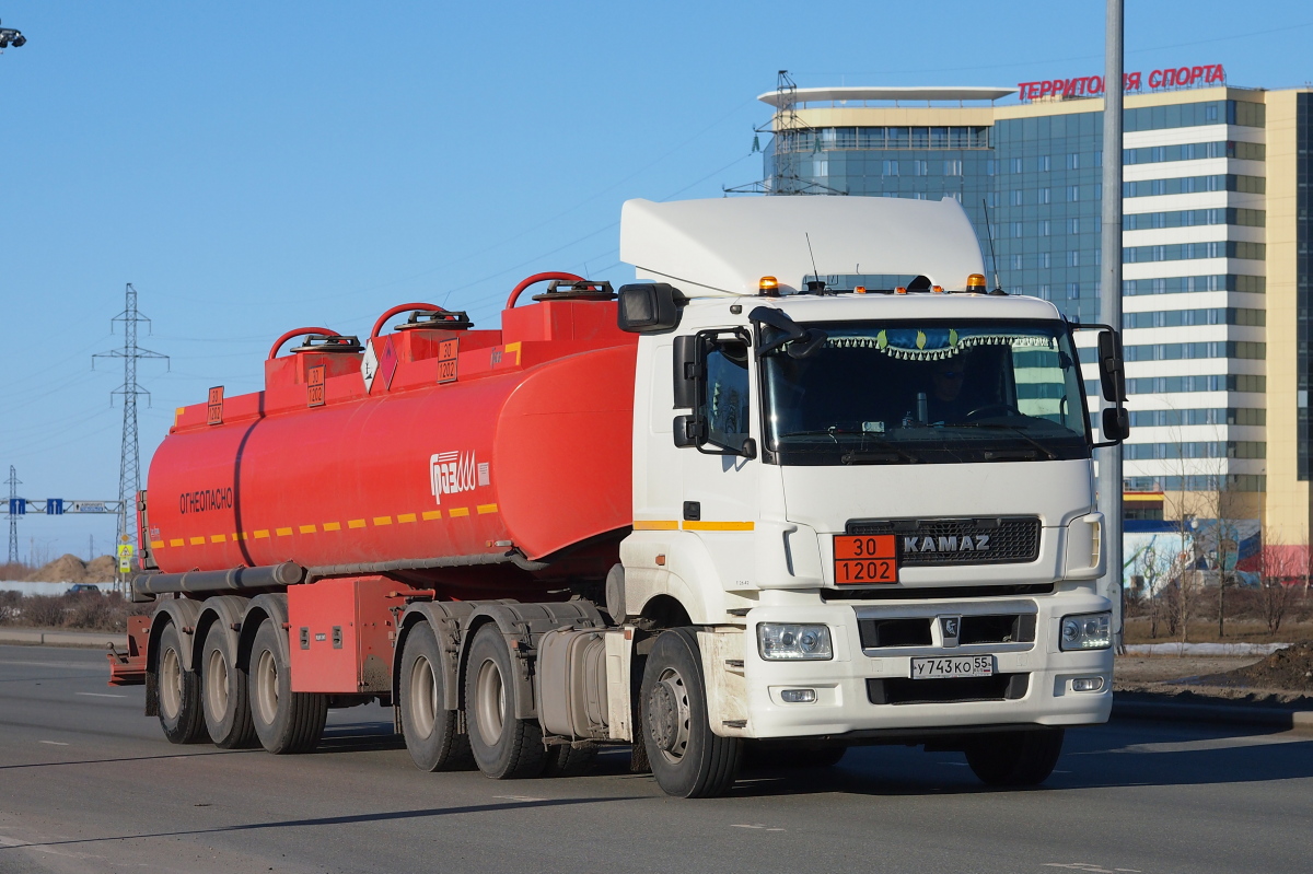 Омская область, № У 743 КО 55 — КамАЗ-65206-T5(68)