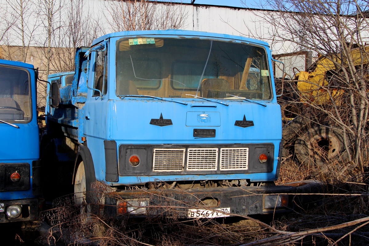 Томская область, № В 546 УХ 70 — МАЗ-5551 [555100]
