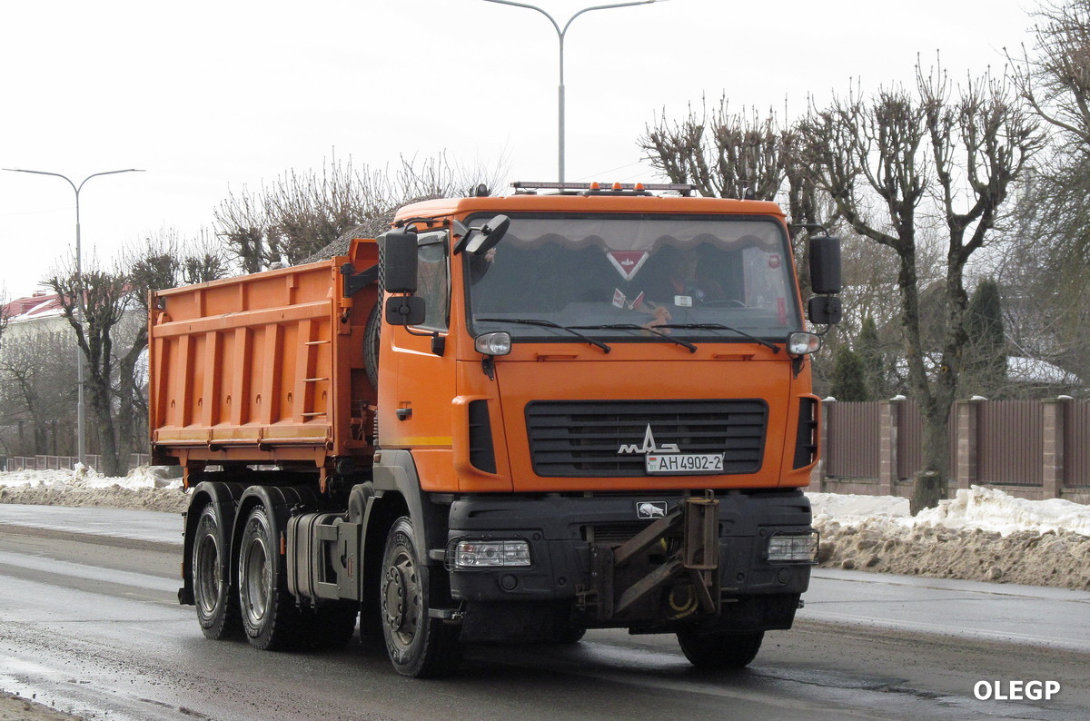Витебская область, № АН 4902-2 — МАЗ-6501 (общая модель)