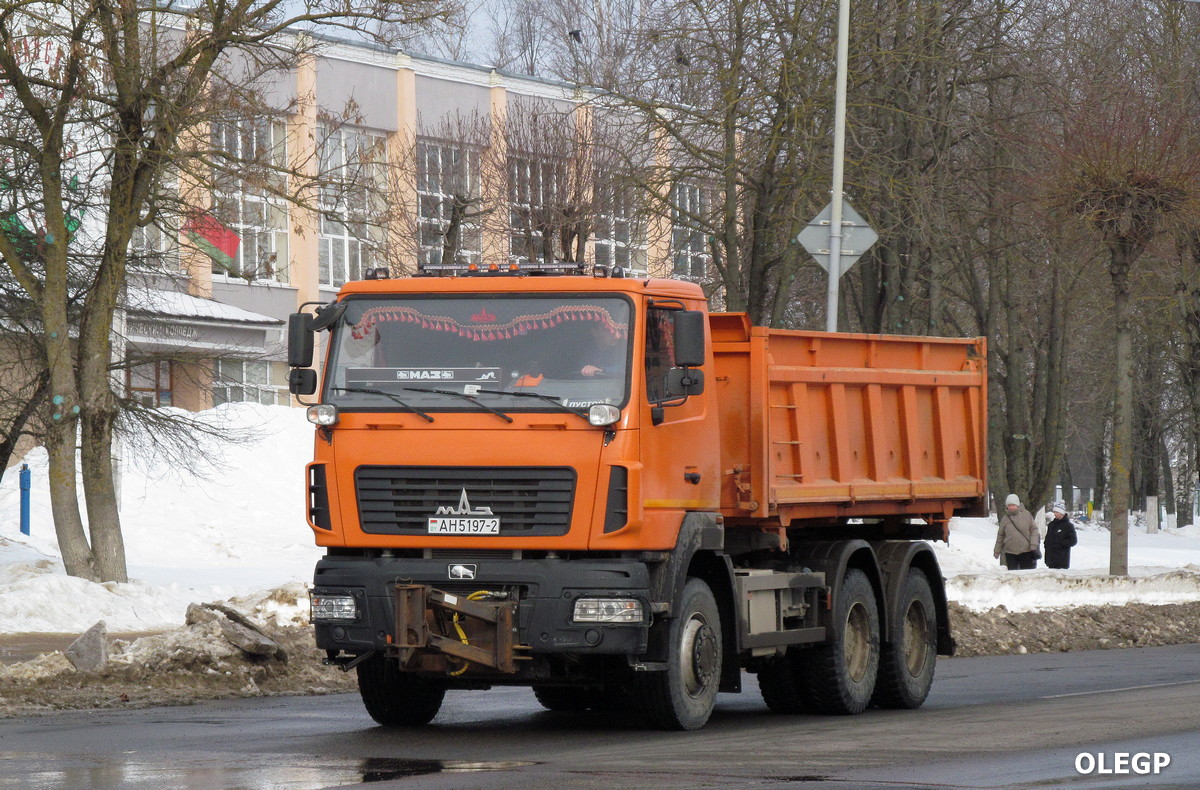 Витебская область, № АН 5197-2 — МАЗ-6501 (общая модель)