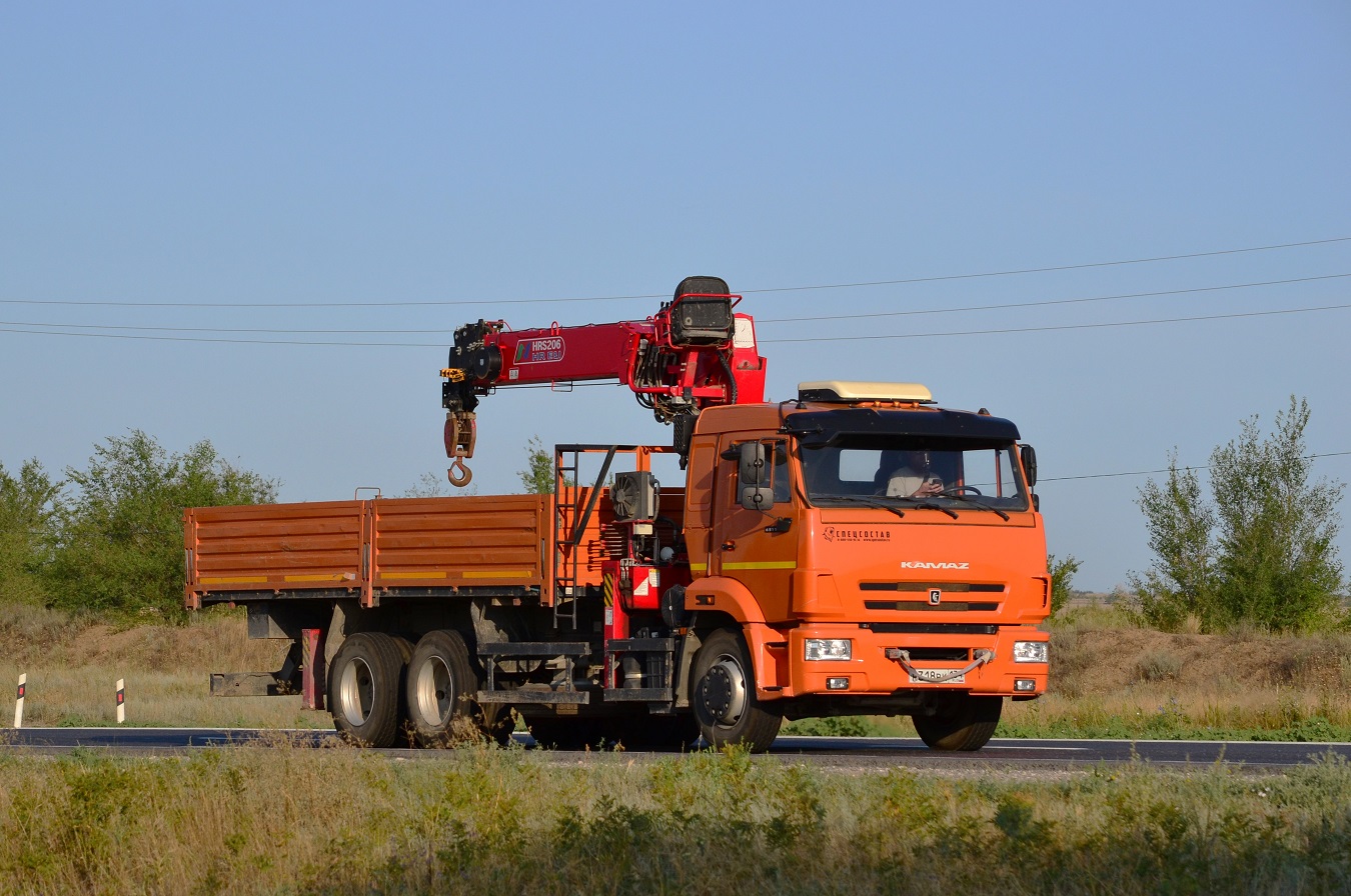 Волгоградская область, № Н 318 ВК 134 — КамАЗ-65115-A5(48)