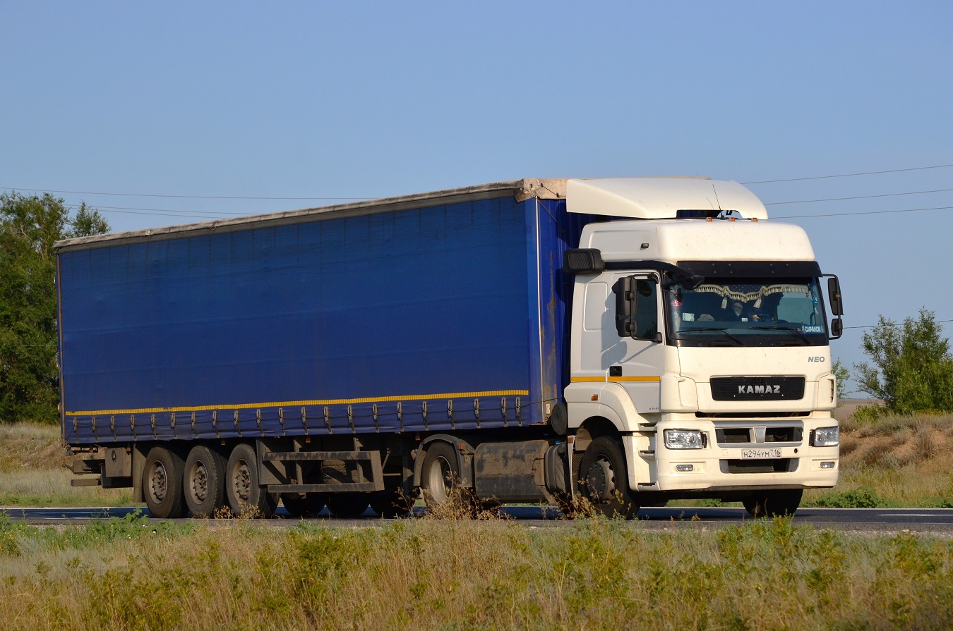 Татарстан, № Н 294 УМ 716 — КамАЗ-5490-DC(87)