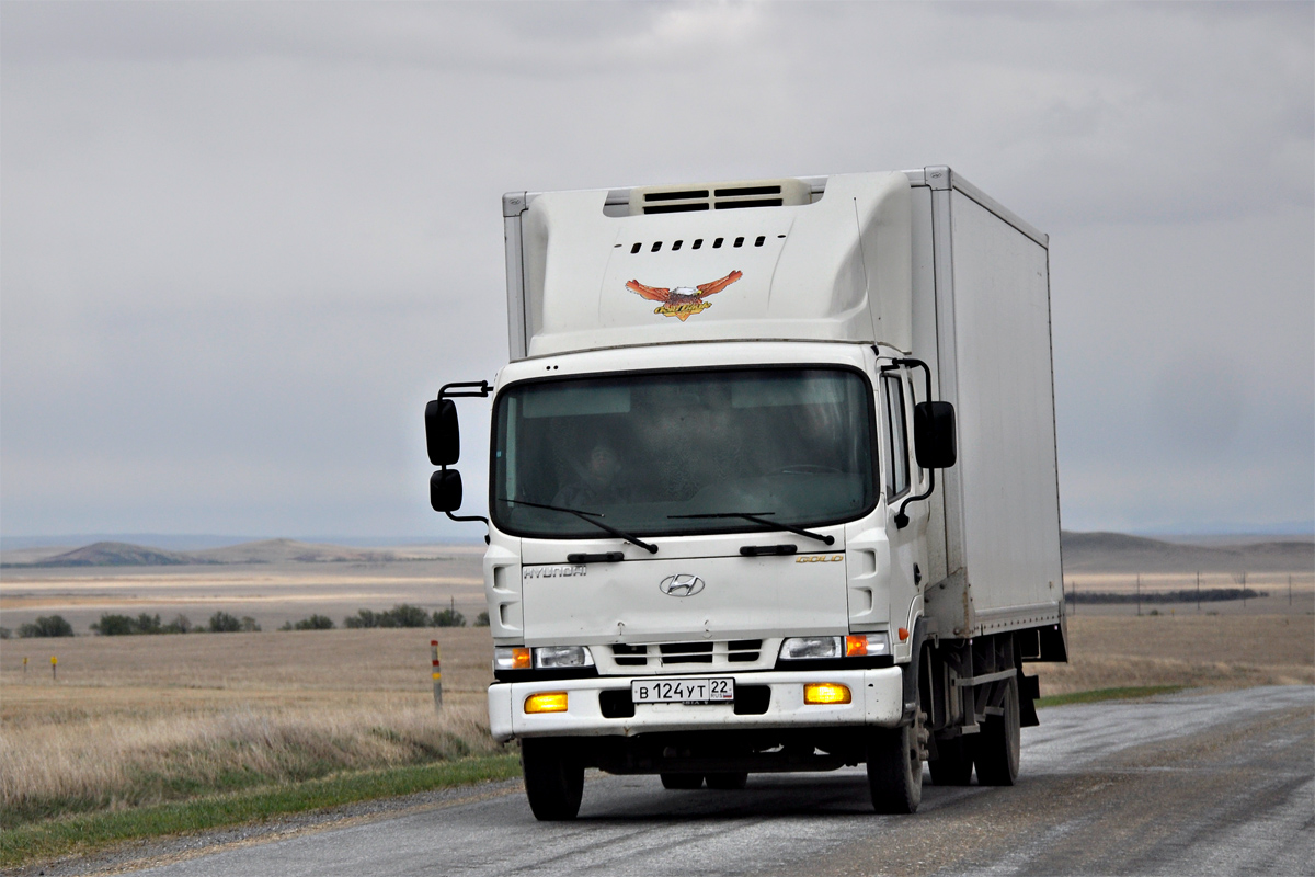 Алтайский край, № В 124 УТ 22 — Hyundai Super Medium HD120