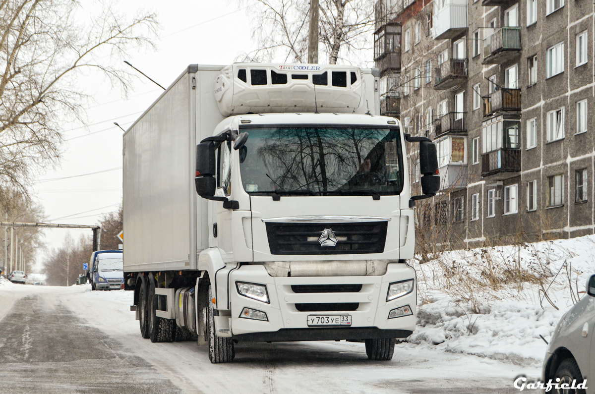 Новосибирская область, № У 703 УЕ 33 — Sitrak C7H ZZ1316
