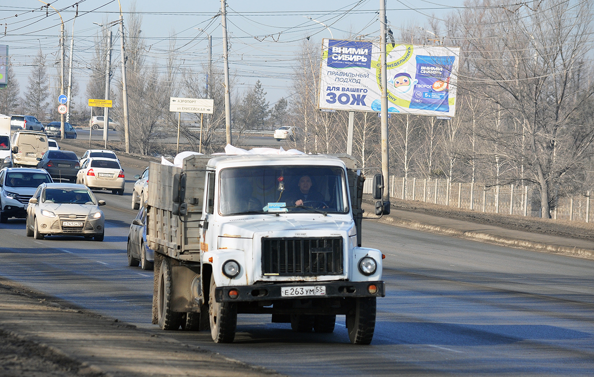 Омская область, № Е 263 УМ 55 — ГАЗ-3307