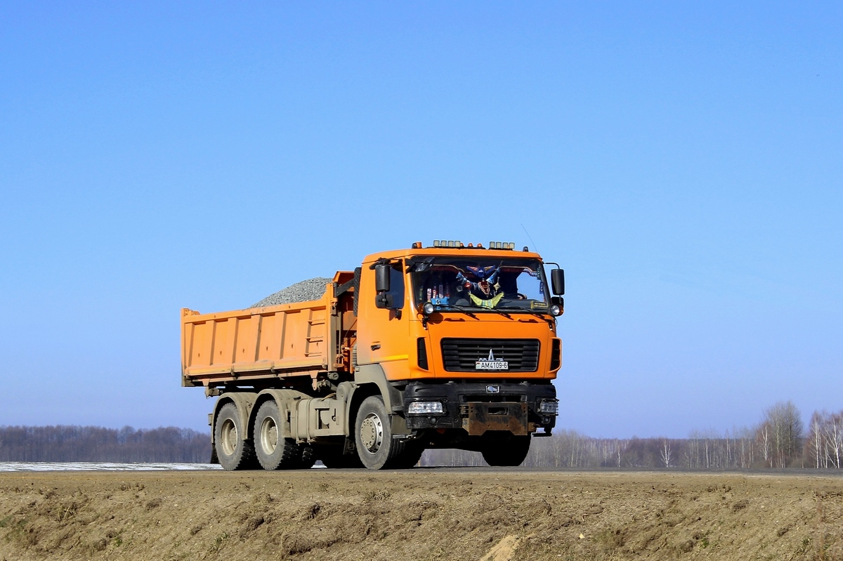 Могилёвская область, № АМ 4109-6 — МАЗ-6501 (общая модель)