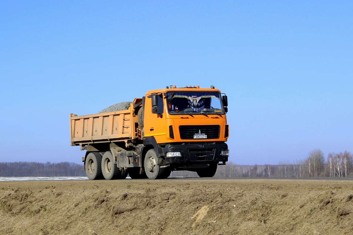 Могилёвская область, № АМ 2127-6 — МАЗ-6501 (общая модель)