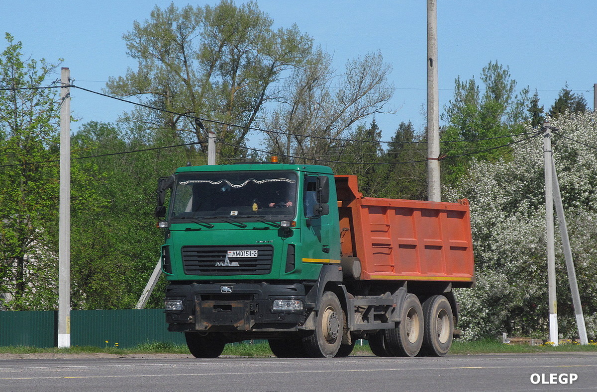 Витебская область, № АМ 0151-2 — МАЗ-6501C5