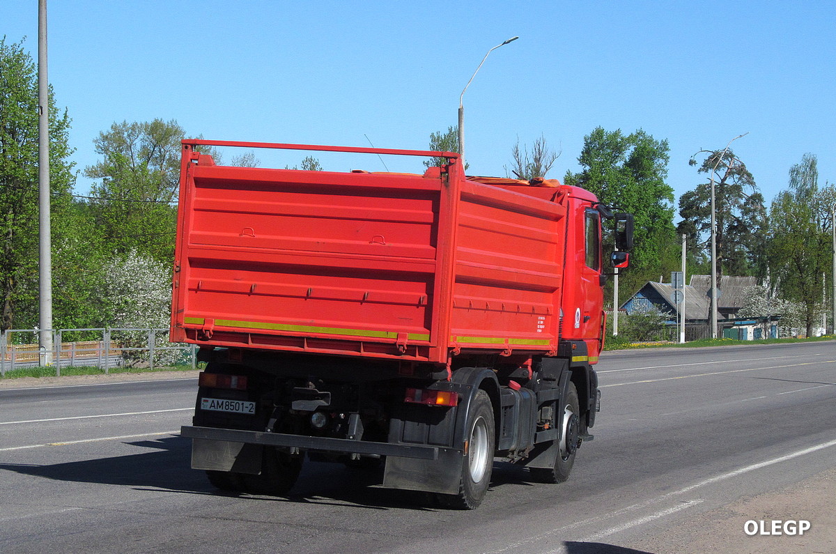 Витебская область, № АМ 8501-2 — МАЗ-5550 (общая модель)
