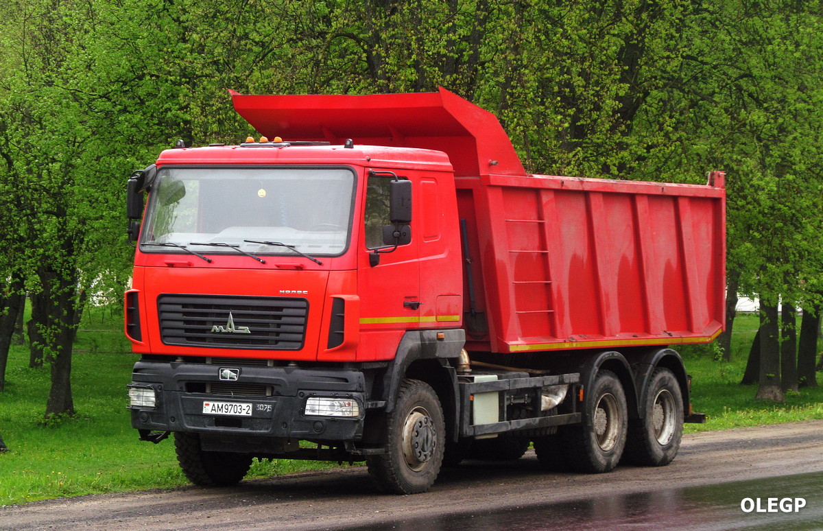 Витебская область, № АМ 9703-2 — МАЗ-650128