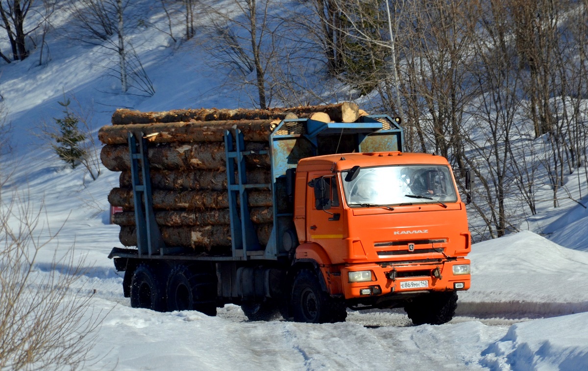 Кемеровская область, № Е 869 МН 142 — КамАЗ-43118 (общая модель)