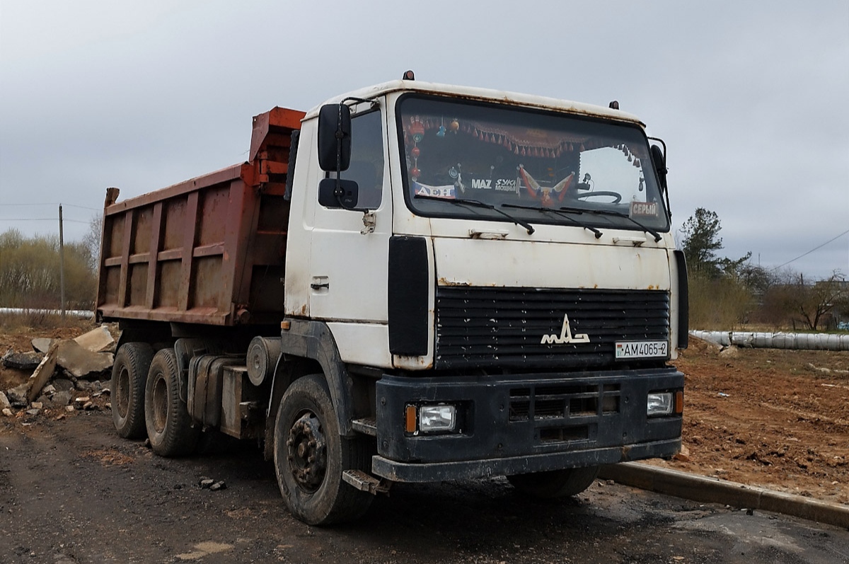 Витебская область, № АМ 4065-2 — МАЗ-6501 (общая модель)