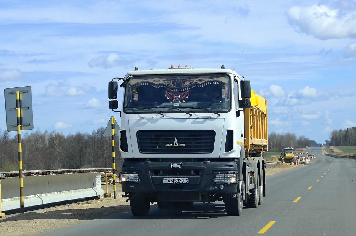 Могилёвская область, № АМ 5873-6 — МАЗ-650128