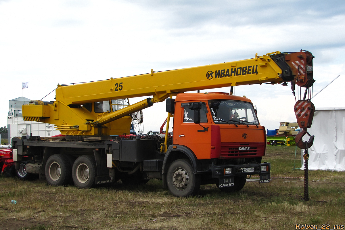 Алтайский край, № Е 256 ТО 22 — БАЗ-8029