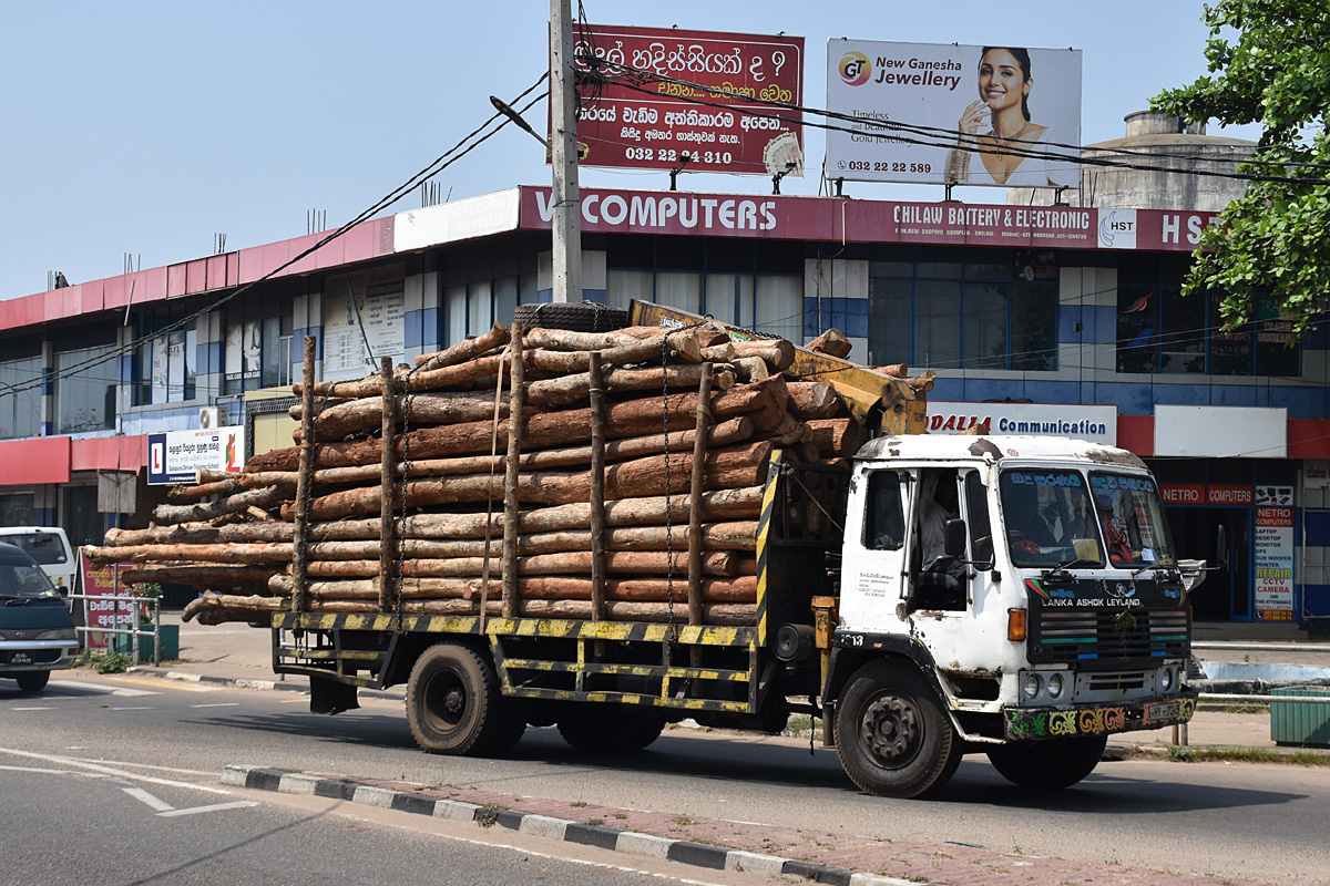 Шри-Ланка, № HY-7245 — Lanka Ashok Leyland (общая модель)
