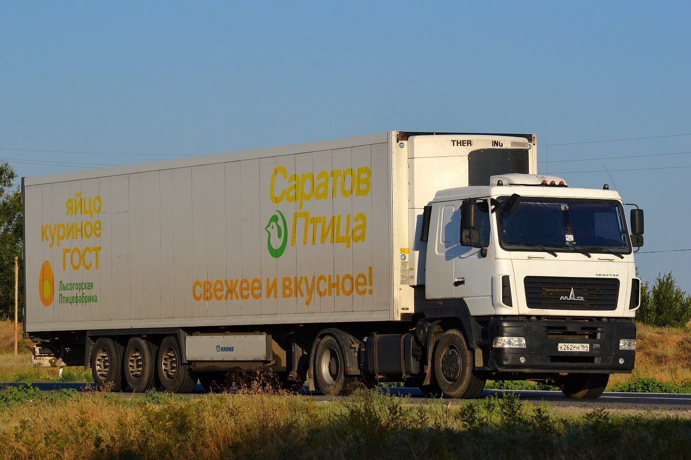 Саратовская область, № К 262 РН 164 — МАЗ-5440 (общая модель)