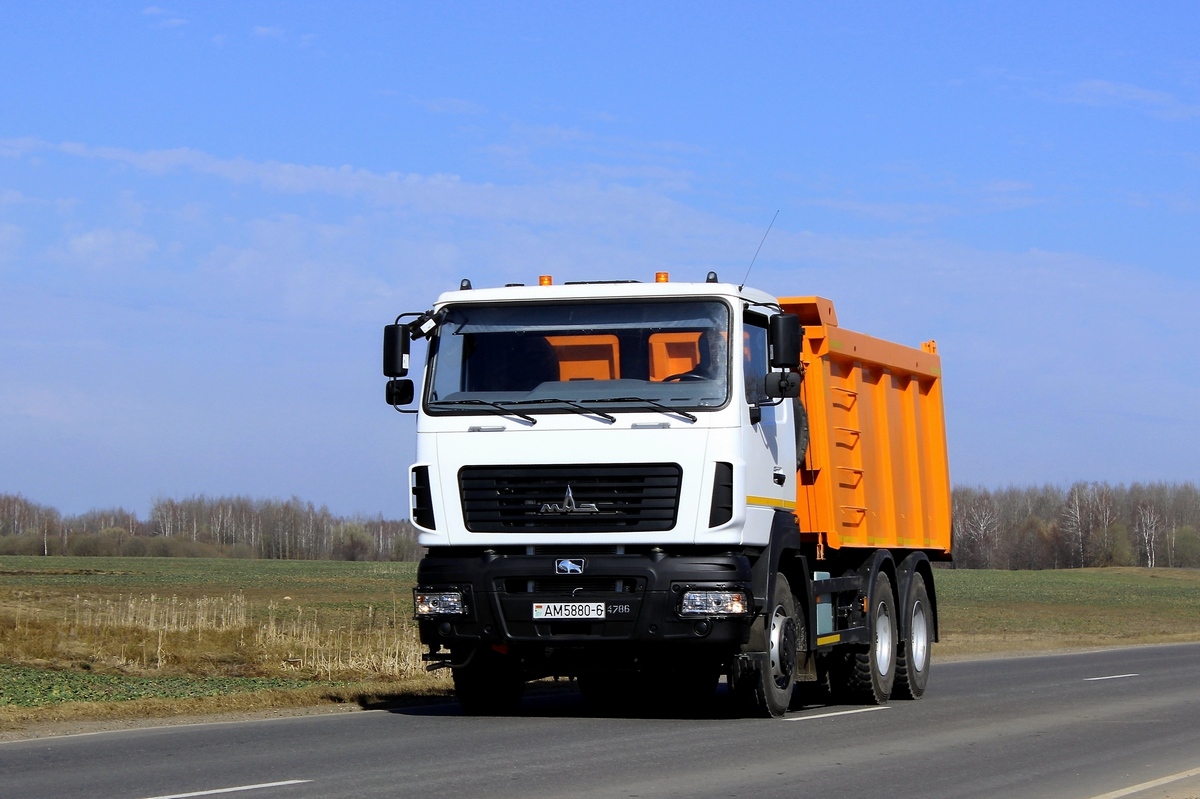 Могилёвская область, № АМ 5880-6 — МАЗ-6501 (общая модель)