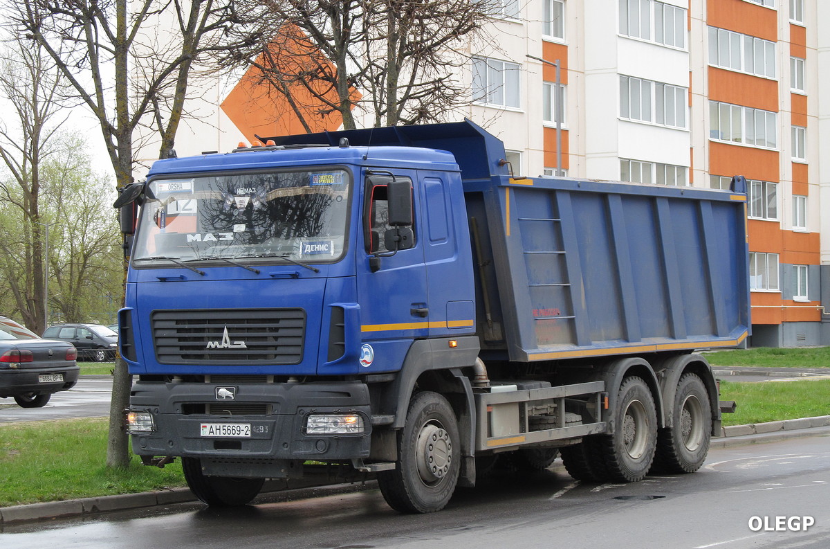Витебская область, № АН 5669-2 — МАЗ-650128
