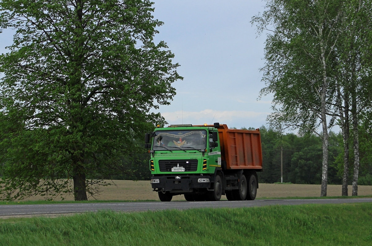Могилёвская область, № АК 6775-6 — МАЗ-6501 (общая модель)